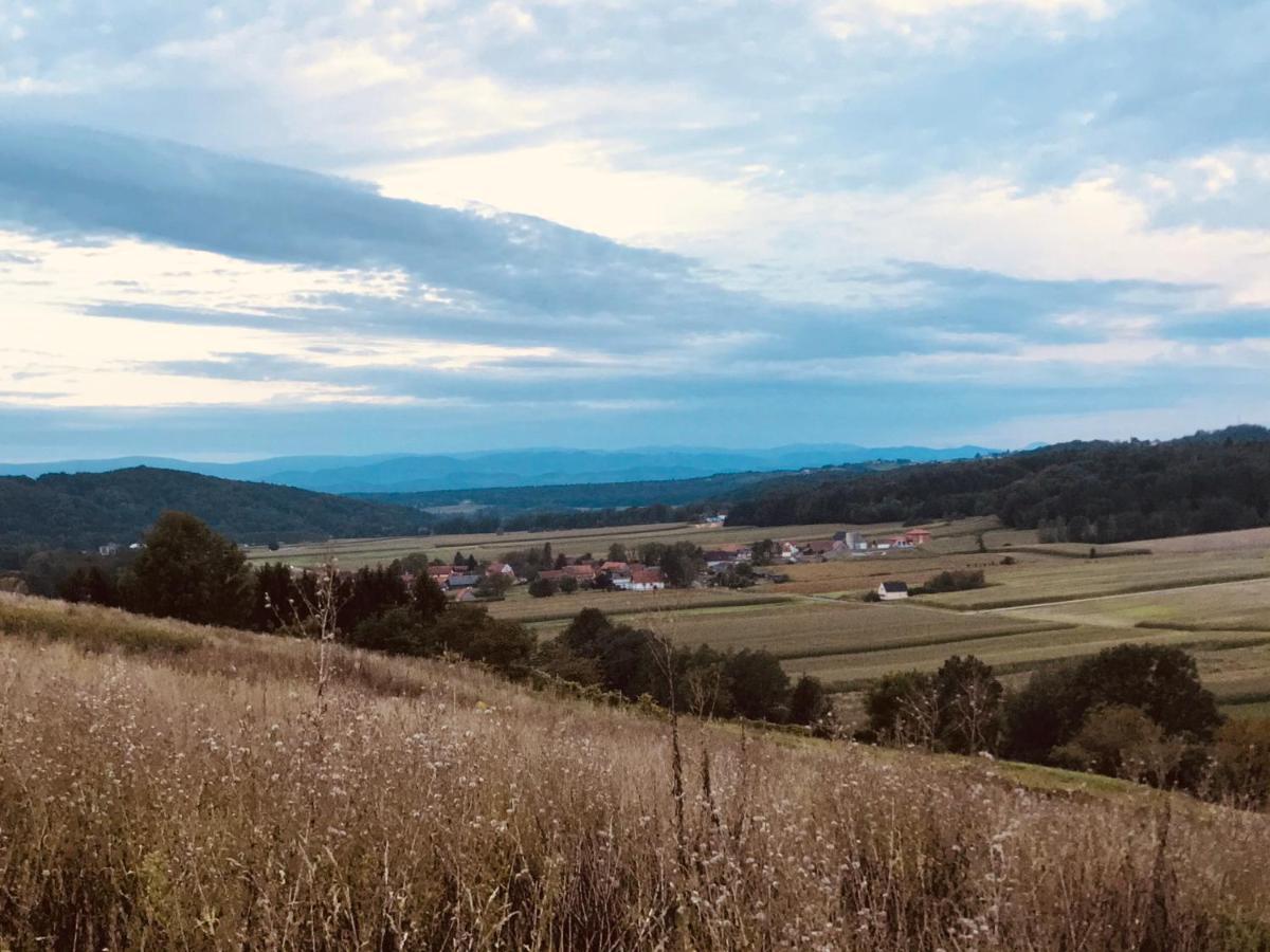 Landvilla Sinelia premium Dietersdorf am Gnasbach Esterno foto
