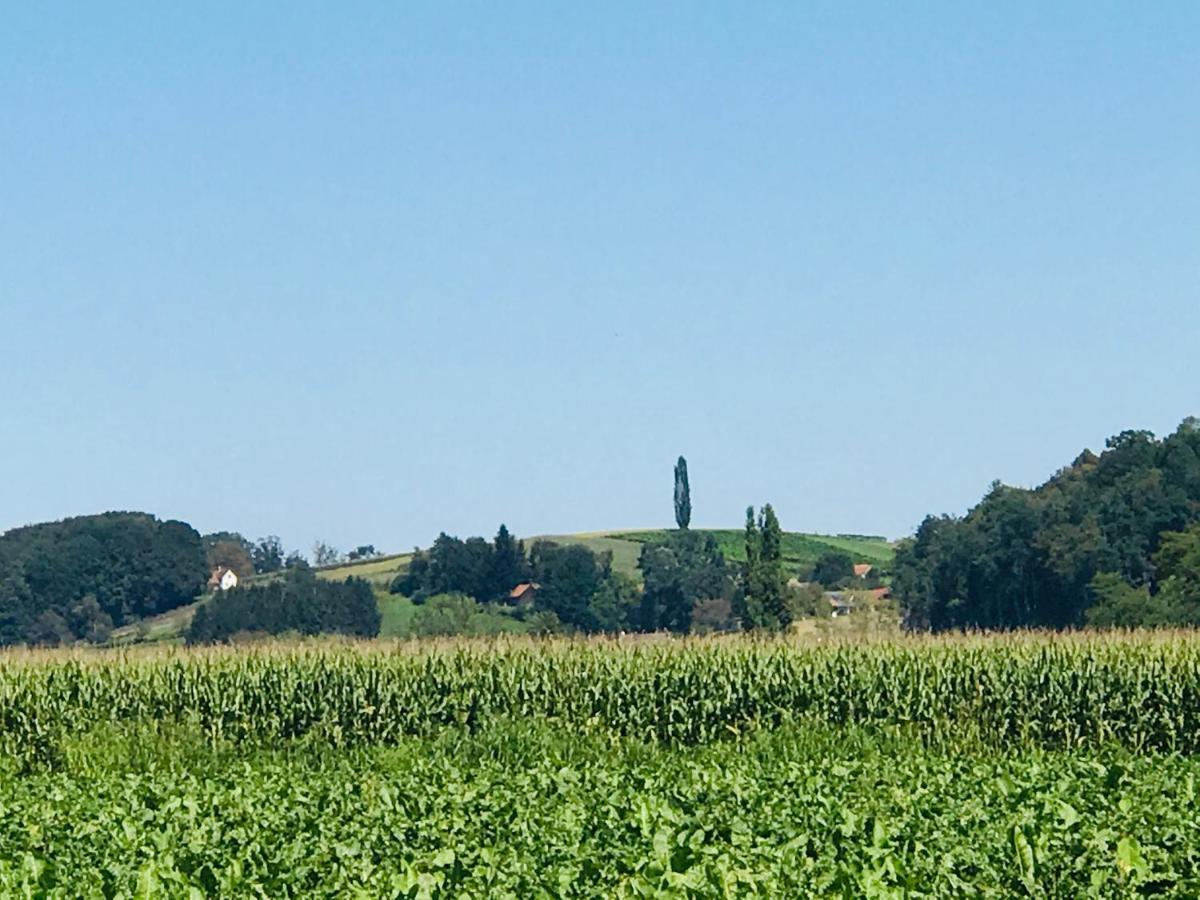 Landvilla Sinelia premium Dietersdorf am Gnasbach Esterno foto